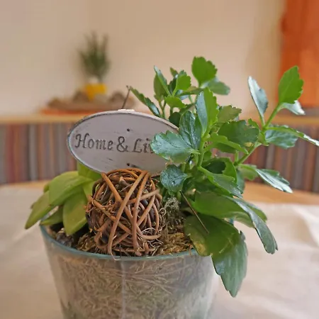 Apartamento Leiter-1 By Interhome *