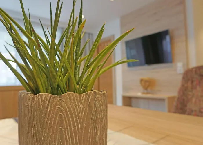 Leiter-1 By Interhome Appartement