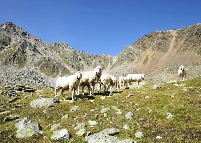 公寓 Leiter-1 By Interhome 索尔登